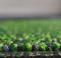 Bonkeel Pascal